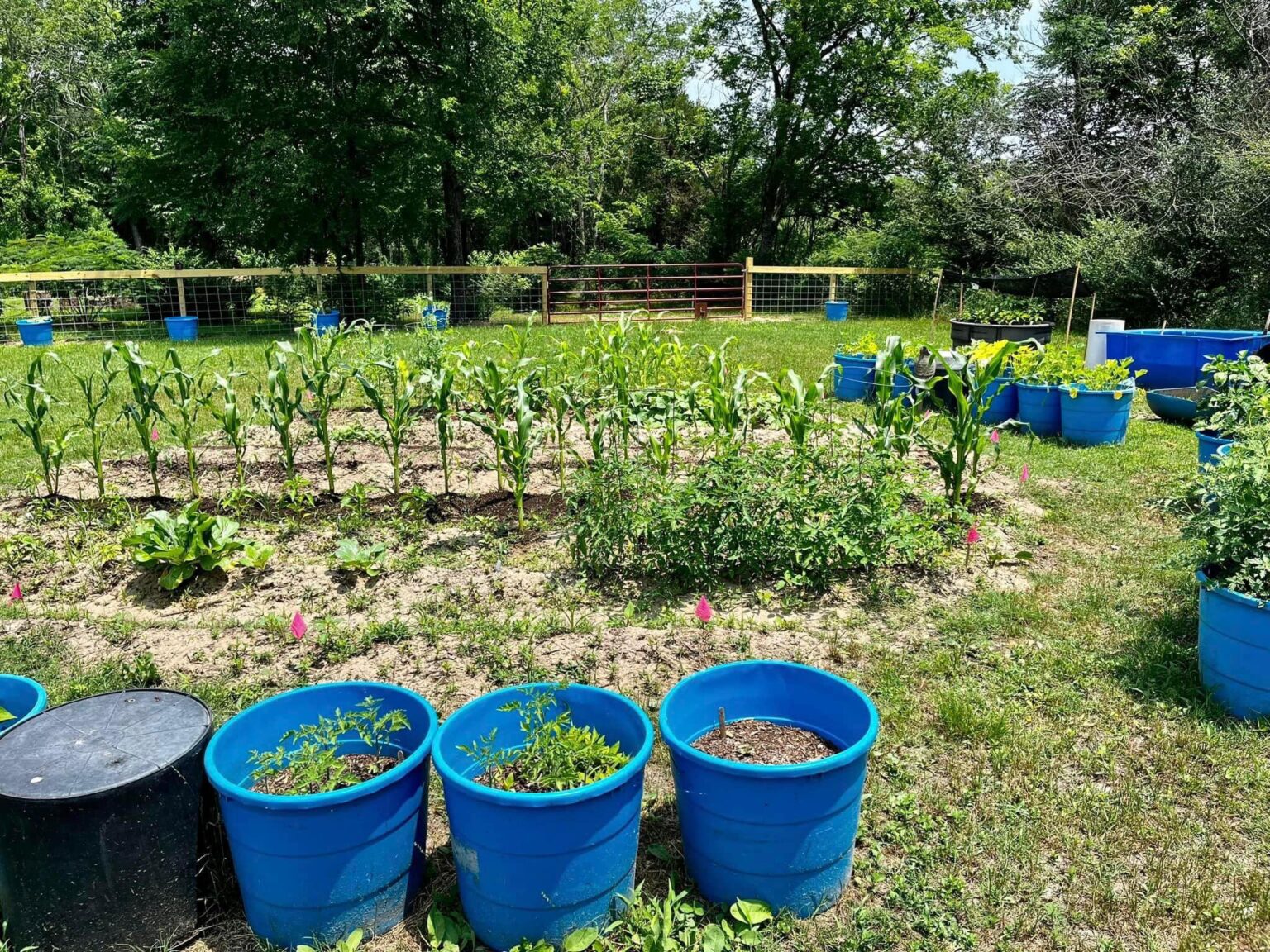 The Homestead Yantis Decathlon Tiny Homes